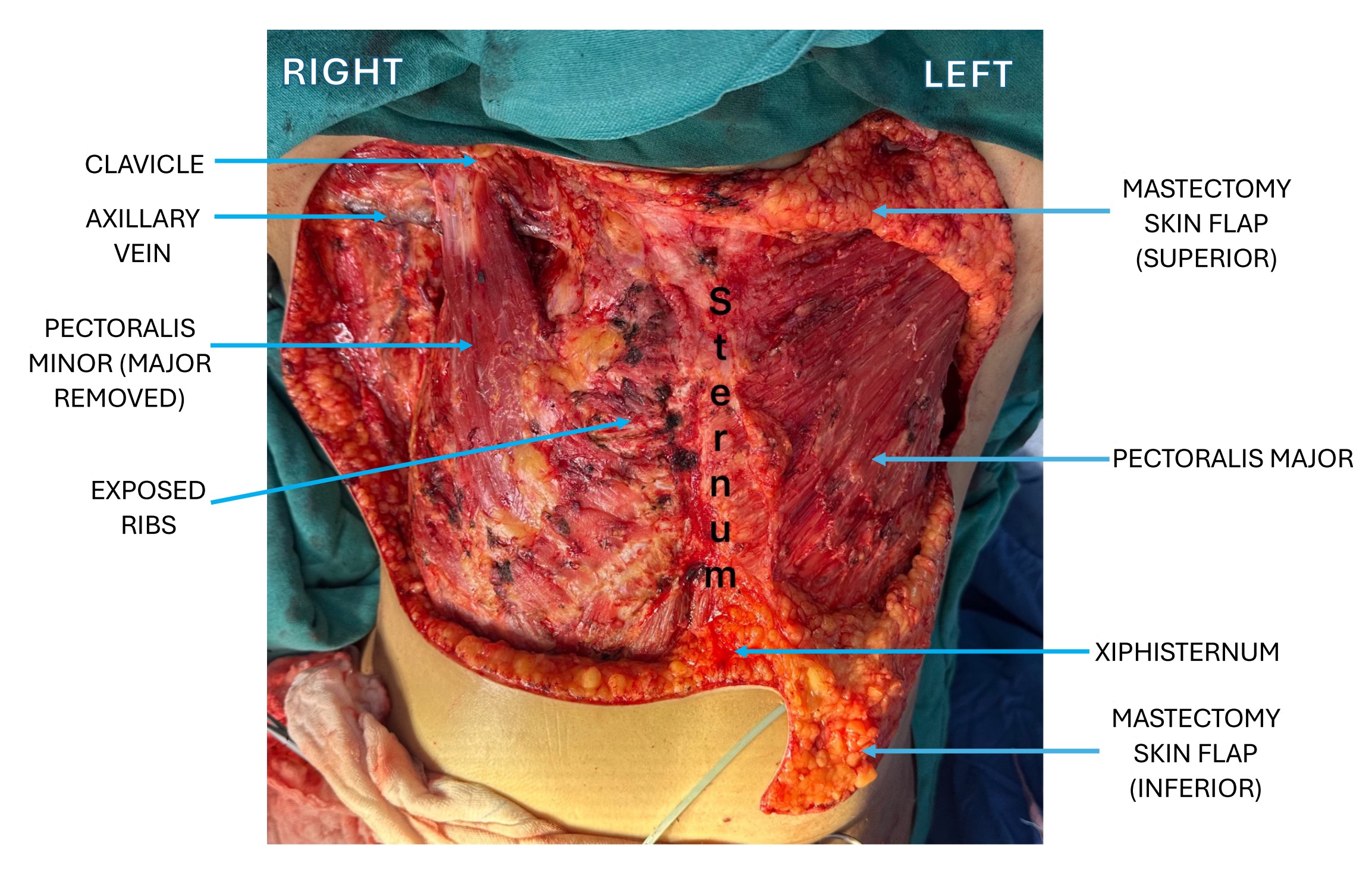 Figure 2.jpg